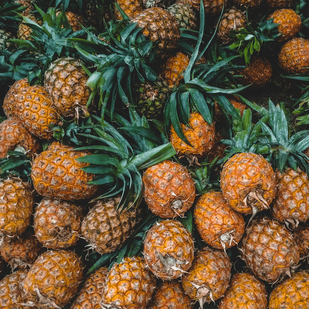 Økologiske ananas - Image 4